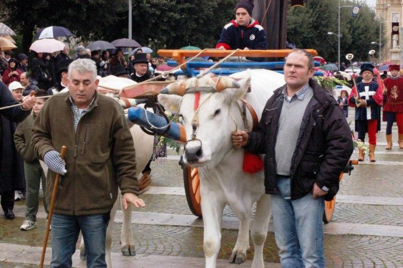 Manifestazione 2013
